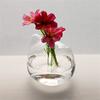 Vaso de Gato Fofo Vaso de Vidro Transparente para Flores Plantas Hidropônicas Decoração de Casa Escandinava Decoração de Quarto de Menina