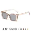 Gafas de Sol de Celebridad de Internet de Moda 2025 Estilo Simple Ins Personalidad Estilo Callejero Gafas Ojo de Gato para Mujer Gafas Transfronterizas