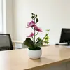 Maceta de ola de agua con orquídea Phalaenopsis de 3 flores, bonsái, planta artificial en maceta nueva con tacto realista, flores artificiales para decoración de mesa de sala de estar