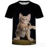 Camiseta de Verano Transfronteriza con Estampado 3D de Gato Lindo para Hombre, Top Casual Deportivo de Manga Corta de Seda de Leche con Cuello Redondo, Estilo Lindo