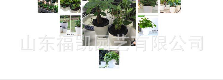 懒人花盆新_21