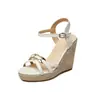 Sandálias plataforma, sandálias de verão com plataforma e biqueira aberta, estilo europeu e americano, sapatos femininos plus size, dropshipping transfronteiriço