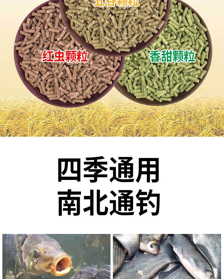 750_05.jpg