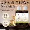 Dr. Champú Herbal Yanmei con Ganoderma y Ginseng para Anticaspa, Antirritación, Nutritivo y Control de Grasa, disponible para exportación transfronteriza