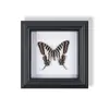 Marco de Fotos de Espécimen de Mariposa Pintura Decorativa de Madera Adorno Retro Europeo Soporte de Exhibición Muebles DIY Regalo de Cumpleaños Regalo