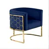 Sillón de relax, estructura de acero inoxidable, lujo ligero y elegante, sillón sofá individual, diseño moderno y minimalista, adecuado para salas de reuniones, salones de belleza y entornos de ocio