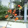 Fruta de Espinheiro-Alvar, Maçã Pequena, Pera, Fruta Artificial, Frutas Vermelhas Falsas para Casamento e Decoração de Casa, Atacado