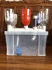 Aquaponia Copo de Maré Garrafa Arco-Íris Sistema de Sifão Copo de Plantio Mudinha Hidropônica 20 un/pacote Soquete de 32mm encaixe justo