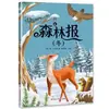 O Jornal da Floresta: Primavera, Verão, Outono, Inverno - Todos os 4 Volumes, Leitura Extracurricular, Ilustrado com Fotos Coloridas e Anotações Fonéticas, Contos de Fadas Clássicos Famosos Mundialmente