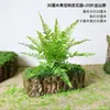 Plantas Verdes, Musgo, Corteza de Árbol, Tocones de Árbol Falsos, Guardería con Temática de Bosque, Estilo Pastoral, Adornos de Musgo, Decoraciones de Paisajismo, Se Pueden Usar para Arreglos Florales