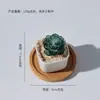 Adornos pequeños de esmalte de colores Zibo macetas suculentas manualidades de plantas de vidrio decoración de escritorio para sala de estar regalo de cumpleaños
