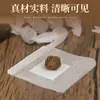 Longan, Pimienta, Parche de Ombligo de Terciopelo de Moxa, Píldora para el Ombligo, Parche de Ombligo de Moxa de Artemisa, Parche de Moxibustión, Parche Perezoso para el Vientre, Servicio de Entrega