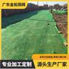 Guangdong punto neto verde a prueba de polvo sitio de construcción cubierta Red de tierra cubierta de red de construcción Cubierta de red de tierra Cubierta de carbón Cubierta de arena