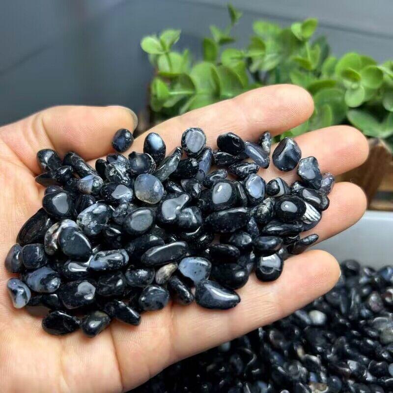 QQ图片20240819100619