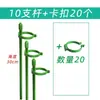 5 Hastes de Suporte para Plantas para Orquídeas, Proteção de Folhas, Monstera, Caladium, Estrutura de Suporte para Jardinagem, Fixação Antiderrapante para Flores