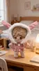 Ropa para Muñecos de Algodón de 10/15/20 cm, Ropa Linda para Muñecos de Peluche