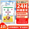 Chuangxing Xinjiang Qitai Farinha de Miolo de Trigo 5kg Farinha de Trigo Farinha Refinada para Uso Doméstico Uso Geral Personalizado Atacado