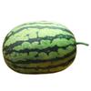 Almofada de almofada de frutas estampadas de melancia, almofada de decoração para sofá, sala de estar, boneca de pelúcia para dormir infantil