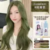 Nova Cor de Chá de Mel com Leite Tinta de Cabelo com Bolhas Planta Avelã Cinza Marrom Cor Popular Doméstica Popular Tinta de Cabelo Atacado