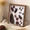 Moldura para espécimes de plantas, moldura de picture frame vintage em estilo floresta oca tridimensional de pinha e folha feita à mão, ornamento decorativo de mesa