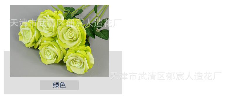 详情_05.jpg
