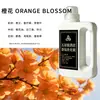 Líquido de Fragancia de Relleno para Aromaterapia para Oficina, Hogar, Aroma de Larga Duración para Dormitorio, Coche, Habitación, Baño, Desodorizante y Fragante