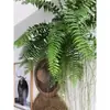 Helecho Colgante Overlord Fern de Hojas Largas Planta Viva para Sala de Estar Estudio Oficina Planta en Maceta Purifica el Aire y Absorbe Formaldehído y Es Fácil de Mantener