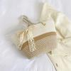 Bolso de Mano de Moda Tejido de Gran Capacidad con Bufanda de Seda 2023 Verano Temperamento Suave Hombro Axila Bolso Tote Elegante