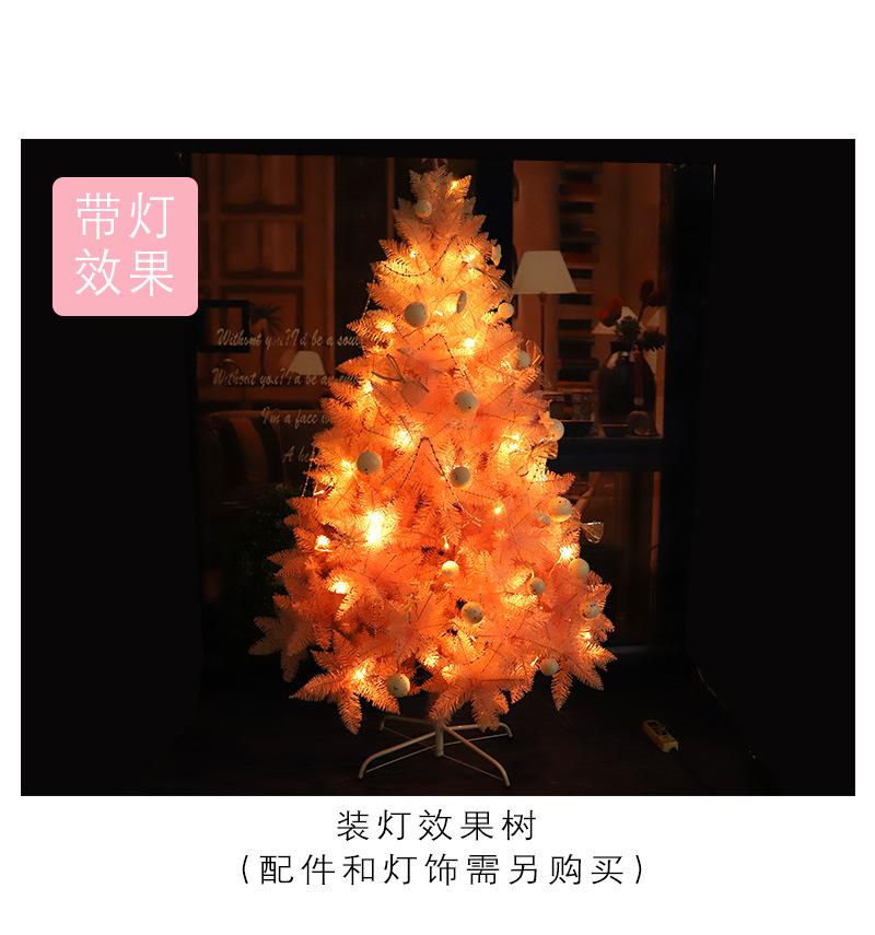 粉色樱花渐变树_06.jpg