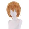 Principais fabricantes de chapéus de cabelo curto europeus e americanos em estoque, peruca de animação cosplay Shengda, cor universal Harajuku anti-deformada