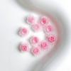 Flor rosa luminosa joyería para uñas mixta resina tridimensional diy hojas a juego hada francés uso material para uñas
