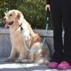 Correa para perro con función antichoque, correa en P y cadena en P integradas, correa para perro engrosada, adecuada para pasear perros pequeños, medianos y grandes