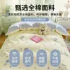 Ropa de Cama de Algodón Puro de Tres Piezas para Dormitorio de Estudiantes Universitarios Sábana de Algodón Puro Funda Nórdica Sábana Ajustada Individual Modelo Nuevo 2026 Ropa de Cama