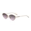 Versátiles Nuevas Gafas de Sol Estilo Cat-Eye Europeas y Americanas para Mujer, Gafas de Sol de Moda para Exteriores Estilo Callejero, Gafas de Sol al por Mayor Transfronterizas