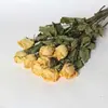 Flores Secas de Yunnan Rosas Decoração Literária para Casa Flores Fundo para Fotografia Floral DIY Casa Flores Naturais Flores Secas Atacado