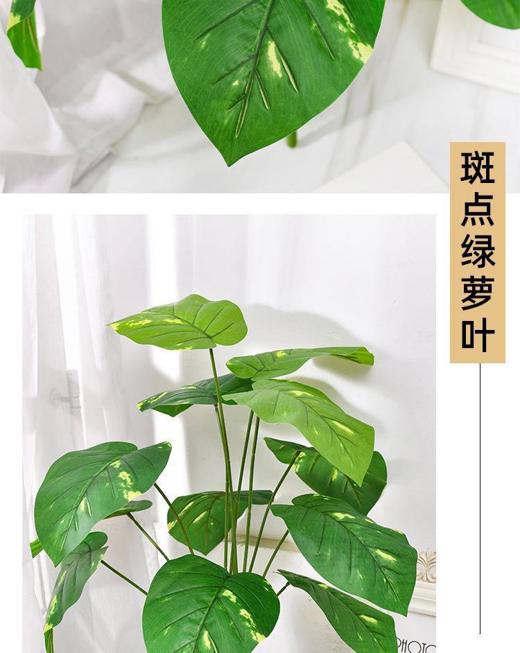 详情_11.jpg