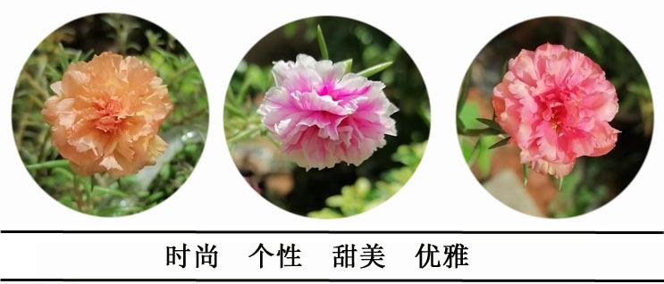 2190478344_106044964