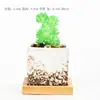Creativos Mini Macetas de Cerámica para Suculentas Decoración de Escritorio de Interior Balcón Adornos Comercio Exterior Transfronterizo Jardinería Al por Mayor Micro-Escenas