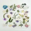 61 Shein Flor Artificial Morada Caliente Cabeza Hoja Hierba Acuática Pinza para el Cabello DIY Corona de Flores Material para Gorra de Estudiante Bolsa
