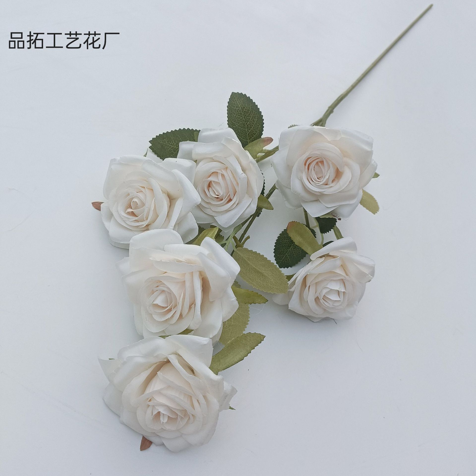 5106afe9e30f10846d25057053542f