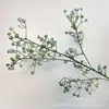 Gipsófila tridimensional en spray color simulación estrella fruta jardín boda fila de flores de bienvenida flor de plástico hogar