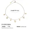 Collar Taina de Acero Inoxidable Estilo Europeo y Americano para Mujer, Cadena para Clavícula de Flor Estrella Zirconia Incrustada, Venta Caliente Transfronteriza