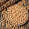 Semillas de Gastrodia, Semillas de Gastrodia de Yunnan, Frijoles Pequeños de Gastrodia, Semillas de Gastrodia, Garbanzos, Frijoles de Longevidad al por Mayor y Entrega