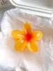 Acessório de Foto Popular para Férias de Verão Transfronteiriço, Presilha de Cabelo Flor de Plumeria, Presilha de Franja Lateral de Alta Qualidade
