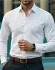 Camisas de manga larga casual de negocios para hombre transfronterizas, resistentes a las arrugas, color liso, alta calidad, directo de la fábrica de origen, envío directo disponible