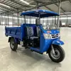 Triciclo agrícola diésel estilo Wuzheng con marchas alta y baja, asiento doble de lujo, rendimiento estable en caminos irregulares