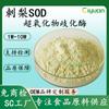 Rosa roxburghii SOD superóxido dismutasa 1s-10s Extracto de Rosa roxburghii Polvo de Rosa roxburghii 1 kg/bolsa Ciyuan SC