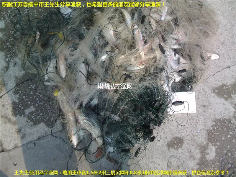 800X600扬中市王先生渔获1
