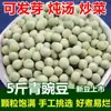 Ervilhas Verdes Frescas 5 Jin Ervilhas Verdes Ervilhas Cruas Ervilhas Verdes Novidades do Agricultor Ervilhas Secas Grãos Mistos 450g