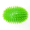 Brinquedo para Pet resistente à mordida som moedor filhote cachorro grande golden retriever Teddy borracha TPR pedra de dente remoção Bola espinhosa brinquedo